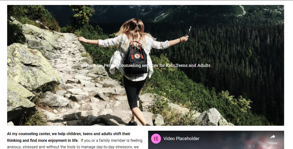 The Counselor WordPress Website