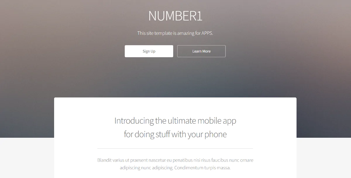 Number1 HTML Template