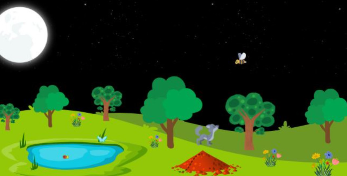 Nature at night Video by Gbernterch